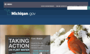 Michigan.michigan.gov thumbnail