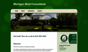 Michiganmoldconsultants.com thumbnail