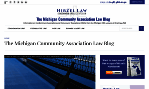 Michiganrelaw.com thumbnail