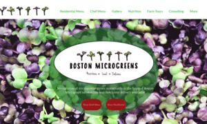 Microgreens.boston thumbnail