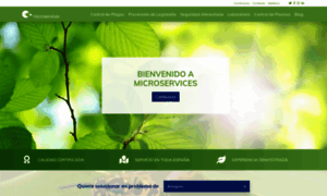 Microservices.es thumbnail