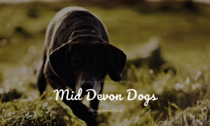 Middevondogs.co.uk thumbnail