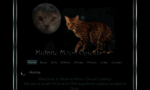 Midnitemoonocicats.com thumbnail