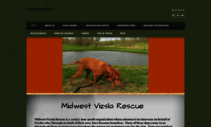 Midwestvizslarescue.org thumbnail