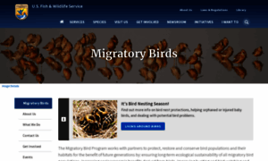 Migratorybirds.fws.gov thumbnail
