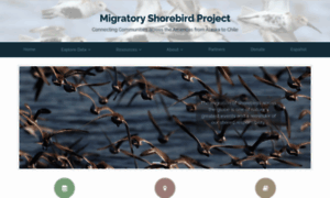 Migratoryshorebirdproject.org thumbnail