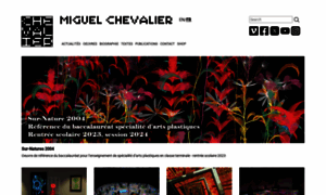 Miguel-chevalier.com thumbnail