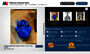 Millenniumindustrialvalves.com thumbnail
