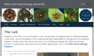 Miller-huntlab.weebly.com thumbnail