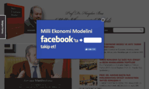Milliekonomimodeli.com thumbnail