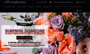 Mimosaflowers.ie thumbnail