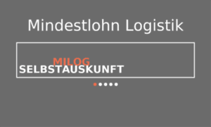 Mindestlohn-logistik.de thumbnail