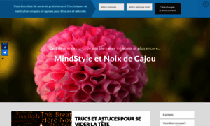 Mindstyle-et-noixdecajou.com thumbnail