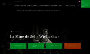 Minedeselwieliczka.fr thumbnail