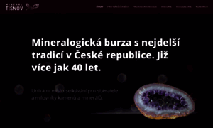 Mineraltisnov.cz thumbnail