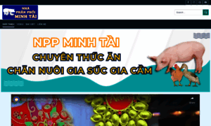 Minhtai.vn thumbnail