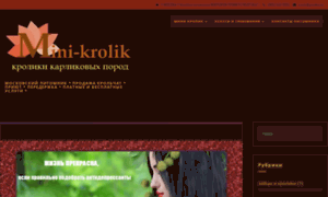 Mini-krolik.ru thumbnail