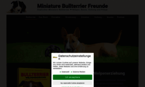 Miniaturebullterrier-freunde.de thumbnail