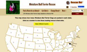 Miniaturebullterrier.rescueme.org thumbnail