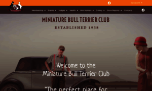 Miniaturebullterrierclub.org thumbnail