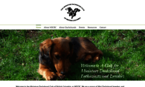 Miniaturedachshundclubofbc.com thumbnail