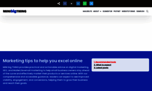 Minibigthing.com thumbnail