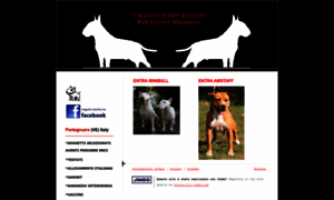 Minibull-kennel.jimdo.com thumbnail