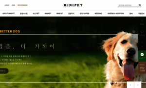 Minicatmobile.co.kr thumbnail