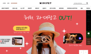 Minicats.co.kr thumbnail