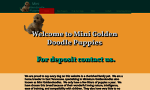 Minigoldendoodlepuppies.com thumbnail