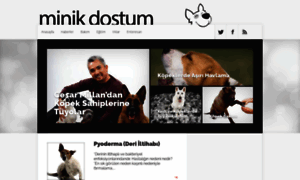 Minikdostum.com thumbnail