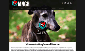 Minnesotagreyhoundrescue.org thumbnail