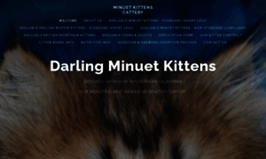 Minuet-kitten.com thumbnail