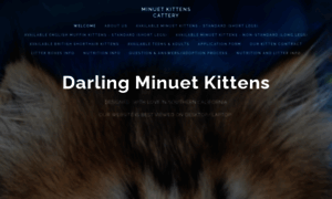 Minuetkittenscattery.squarespace.com thumbnail