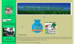 Miracledogrescue.rescuegroups.org thumbnail