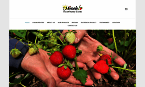 Miraclestrawberryfarm.com thumbnail