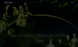 Miracletrees.org thumbnail