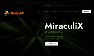 Miraculix.co.at thumbnail