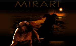 Mirari.no thumbnail