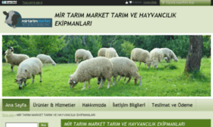 Mirtarimmarket.ticiz.com thumbnail