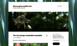 Missinghenrymitchell.com thumbnail