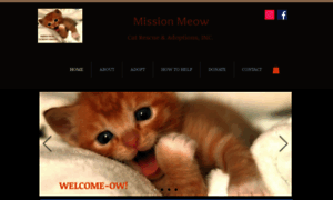 Missionmeowcats.org thumbnail