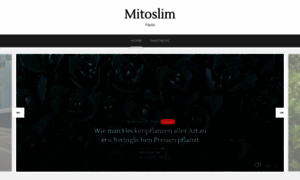 Mitoslimfacts.de thumbnail