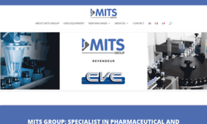 Mits-groups.com thumbnail