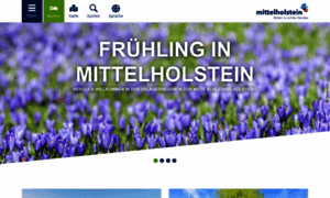 Mittel-holstein.de thumbnail