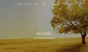Mitwork.net thumbnail