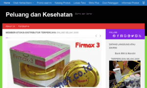 Mmm-indonesia.net thumbnail