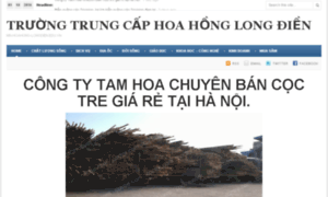 Mn-hoahong-longdien.edu.vn thumbnail