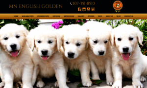 Mnenglishgolden.com thumbnail