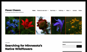 Mnnativewildflowers.com thumbnail